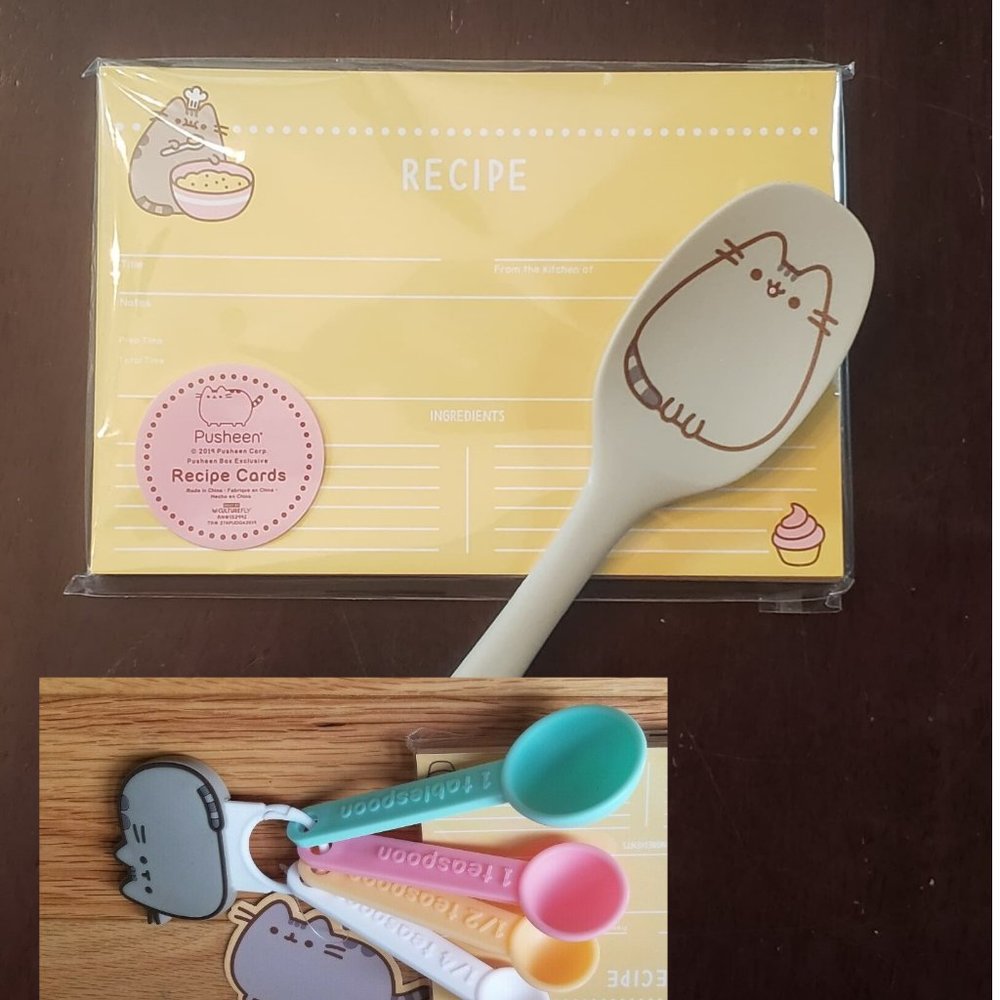 Pusheen  Spoons with Recipe cards